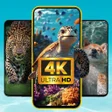 Ikona programu: ParaWall: 4K Live Wallpap…