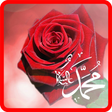 程序图标：Hz.Muhammed'in Hayatı