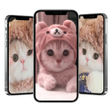 Cat Wallpapers icon