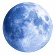 Icoon van programma: Pale Moon Browser