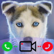 程序图标：Fake Call From Dog