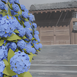 Icon of program: Escape Room Rainy season …