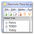 Иконка программы: Flashnote Portable