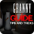 Tips and Tricks for Granny Horror Game
