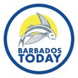 Ikona programu: Barbados Today News
