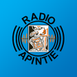 プログラムのアイコン：Apintie Suriname Official