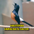 程序图标：Murai Batu Kicau Ngerol (…