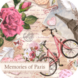 プログラムのアイコン：Memories of Paris Theme