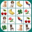 Icon of program: Brain game. Picture Match