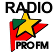 Icon of program: Radio PRO FM Romania