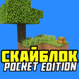 Icon of program: Карты выживания: один бло…