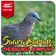 Ikon program: Suara Burung Derkuku Pika…