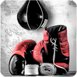 プログラムのアイコン：Boxing Wallpapers