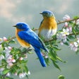 Ícone do programa: Good Afternoon Wishes