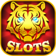 Иконка программы: Magic Gold Coins