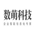 Ikon program: AI翻译专家