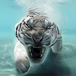 Icon of program: Tiger Live Wallpaper