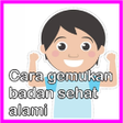 プログラムのアイコン：Cara Alami Menggemukan Ba…