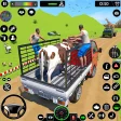 Animal Transport Truck Driving