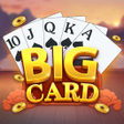 Programikonen: Big Card
