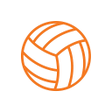 程序图标：NetballConnect