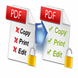 Icône du programme : iStonsoft PDF password re…