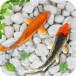 أيقونة البرنامج: Fish Live Wallpaper 2021:…