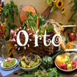程序图标：Orto Versione free