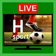 プログラムのアイコン：H Sport