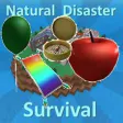Natrual Disaster Survival With Gear Testers