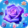 Icon of program: Blossom Paradise Star