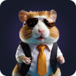 プログラムのアイコン：Hamster Kombat Daily Comb…