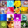 Icon of program: Perpetual