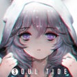 프로그램 아이콘: 灵魂潮汐