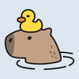 Programikon: Capy - Pet Capybara
