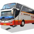 Harapan Jaya Bus Indonesia