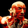 プログラムのアイコン：Complete Human Physiology…