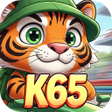 ไอคอนของโปรแกรม: K65DriftZone