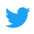 Ikon program: Change Twitter Logo Back