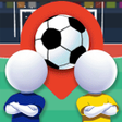 Иконка программы: Wild Football Shootout