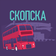 程序图标：Skopska