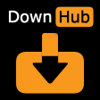 DownHub : Video Downloader