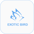 Exotic Love bird - Online Bird