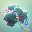 Ikon program: CRISPR-Cas9