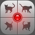 プログラムのアイコン：Human-to-Cat Translator