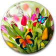 程序图标：Spring Live Wallpaper