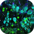Icon of program: Firefly Forest HD Live Wa…