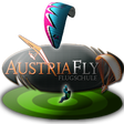 プログラムのアイコン：Paragliding Landing Sim