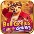 ไอคอนของโปรแกรม: BullGenius Gallery