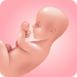 Ícone do programa: Pregnancy Due Date Tracke…